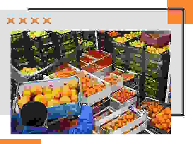 Перевозка скоропортящихся продуктов в Электростали